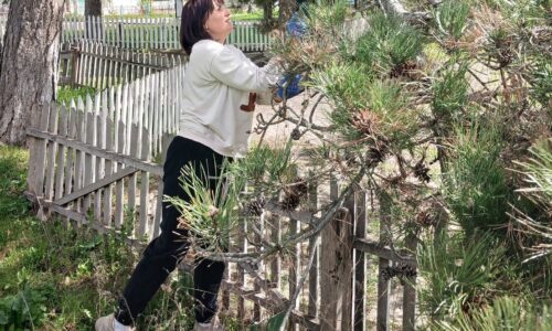 Могилів-Подільський Онлайн