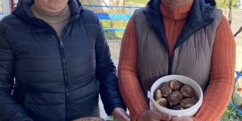 Могилів-Подільський Онлайн