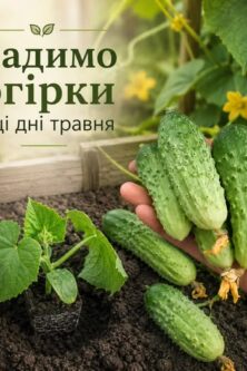 Могилів-Подільський Онлайн