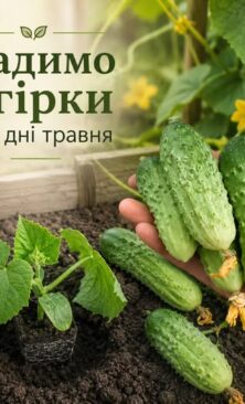 Могилів-Подільський Онлайн