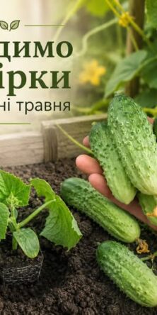 Могилів-Подільський Онлайн