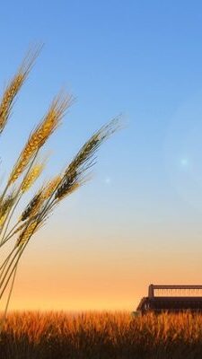 Могилів-Подільський Онлайн