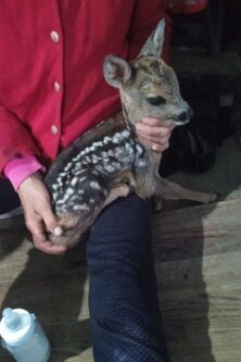 Могилів-Подільський Онлайн