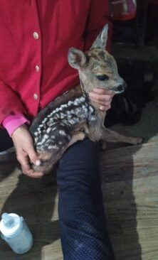Могилів-Подільський Онлайн