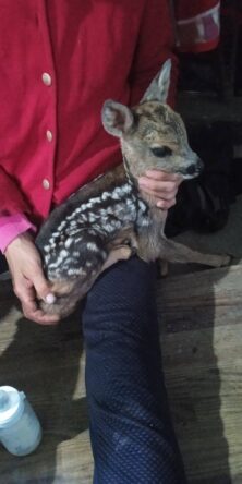 Могилів-Подільський Онлайн