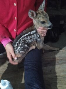 Могилів-Подільський Онлайн