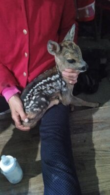 Могилів-Подільський Онлайн