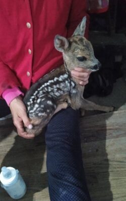 Могилів-Подільський Онлайн