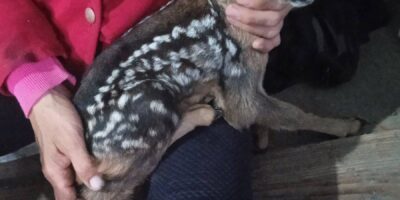 Могилів-Подільський Онлайн