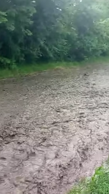 Могилів-Подільський Онлайн