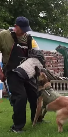 Могилів-Подільський Online