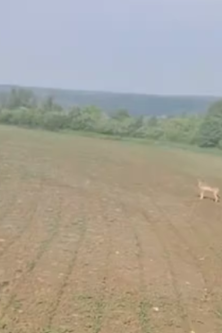 Могилів-Подільський Онлайн