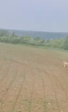 Могилів-Подільський Онлайн