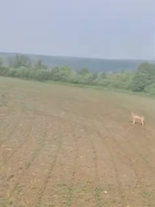 Могилів-Подільський Онлайн