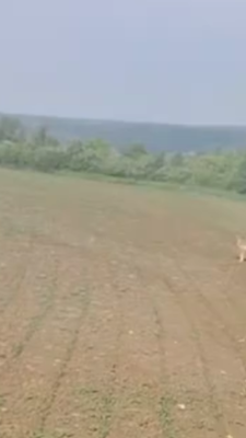 Могилів-Подільський Онлайн