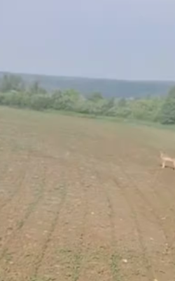 Могилів-Подільський Онлайн