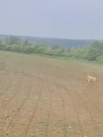 Могилів-Подільський Онлайн