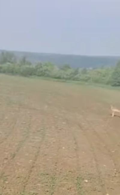 Могилів-Подільський Онлайн