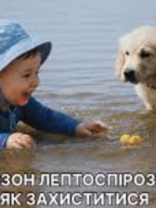 Могилів-Подільський Online