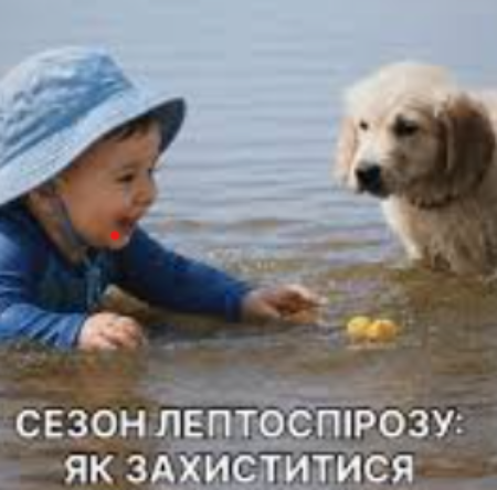 Могилів-Подільський Online