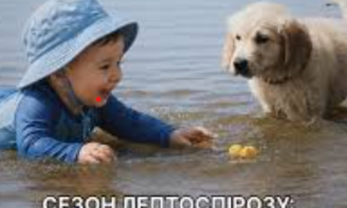 Могилів-Подільський Online