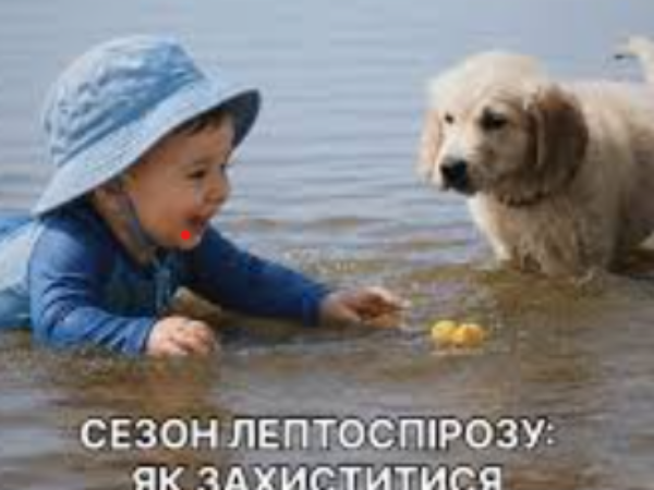 Могилів-Подільський Online