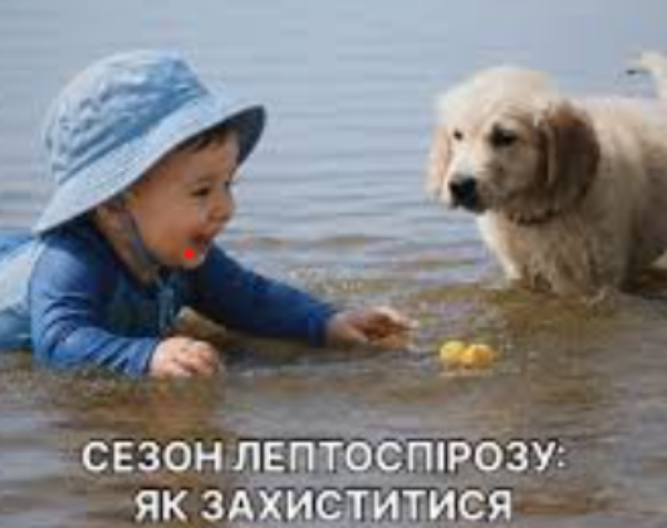 Могилів-Подільський Online