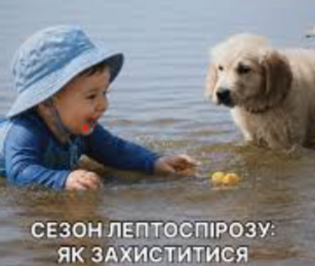 Могилів-Подільський Online
