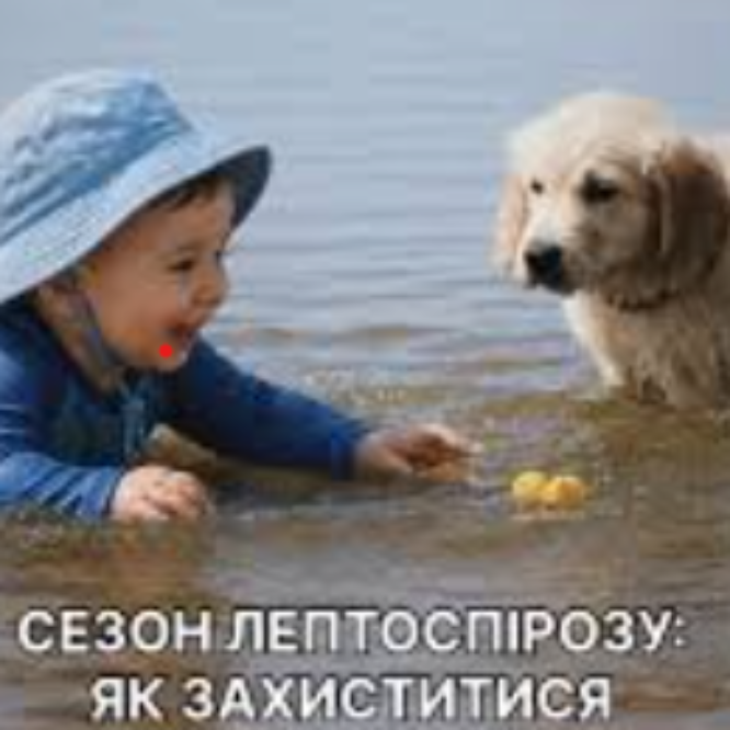 Могилів-Подільський Online