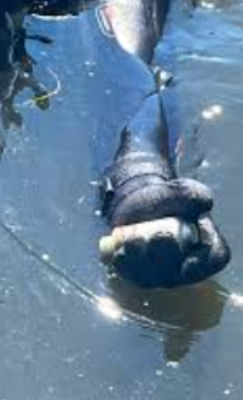 Могилів-Подільський Online