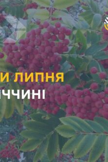 Могилів-Подільський Online