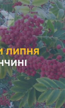 Могилів-Подільський Online
