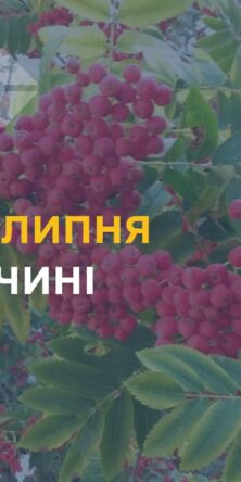 Могилів-Подільський Online