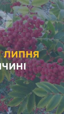 Могилів-Подільський Online