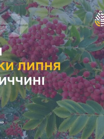 Могилів-Подільський Online