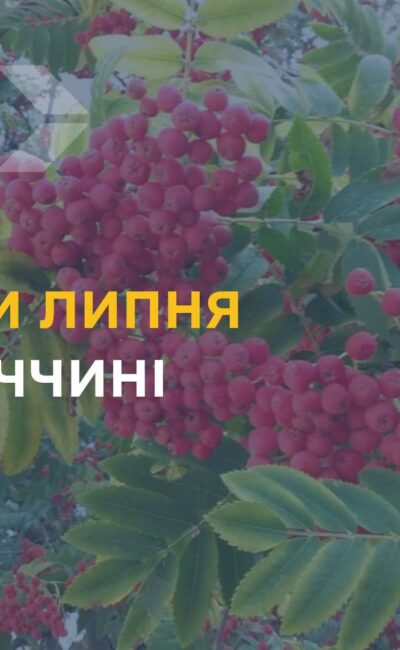 Могилів-Подільський Online