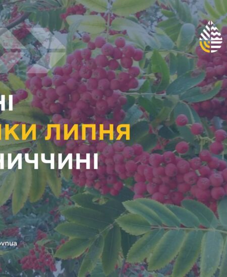 Могилів-Подільський Online