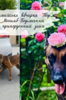 Могилів-Подільський Online