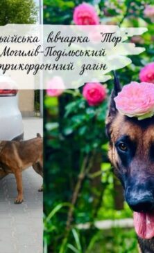 Могилів-Подільський Online