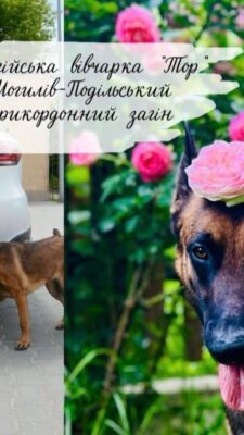 Могилів-Подільський Online
