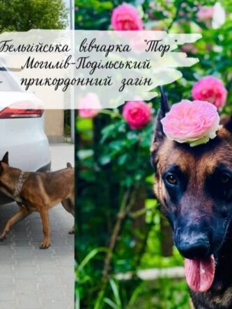 Могилів-Подільський Online