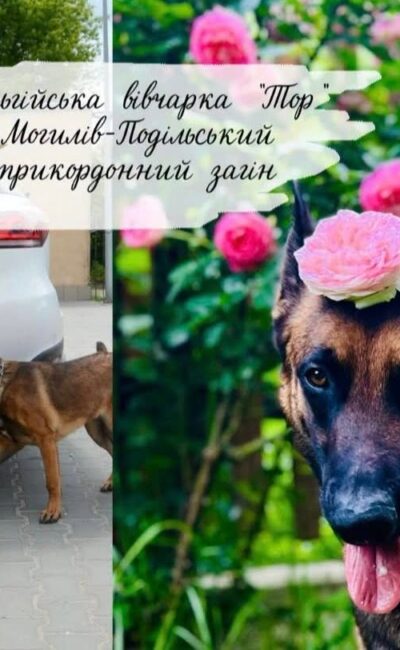 Могилів-Подільський Online