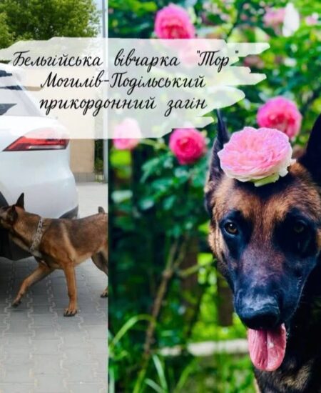 Могилів-Подільський Online