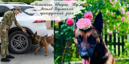 Могилів-Подільський Online