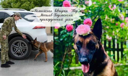 Могилів-Подільський Online