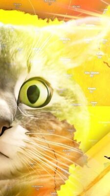 Могилів-Подільський Online