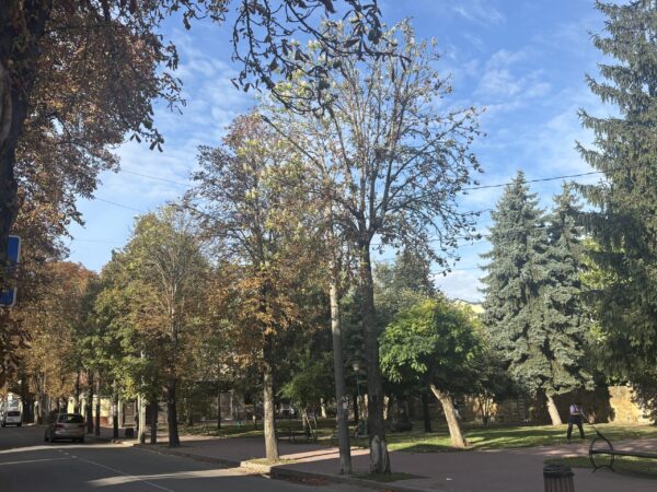 Могилів-Подільський Online